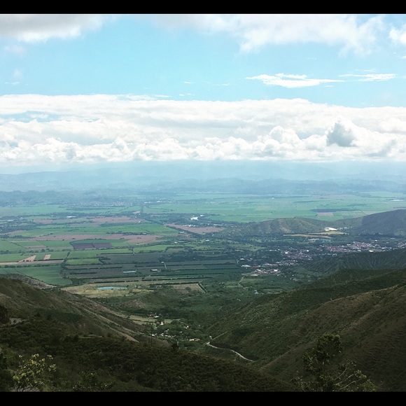 Meet your Posher, Oscar - Picture 1 of 1